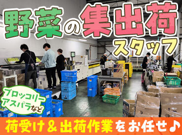観音寺集荷場 お子さんの授業参観や帰省など家庭事情のお休みも相談OK♪
希望が叶うよう最大限考慮します◎