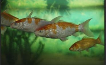 ＜主婦(夫)さん活躍中＞
子育てが落ち着いて、社会復帰したいなという方も◎
新しいコミュニティで生活の質もUPする！？