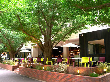 キハチ 青山本店 素材の持ち味を最大限に引き出し、キハチ流の贅沢料理をお届けしています★料理やワインの知識も身に付けられますよ◎