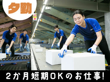 SGフィルダー株式会社　※お仕事No/W24129-032 あなたの希望の働き方など、なんでもお気軽にご相談ください！
他のお仕事も多数あります♪
※画像はイメージ