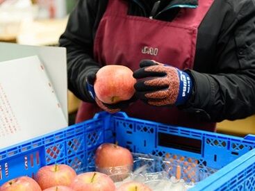 丸金丹代青果株式会社 モクモク…無心になって取り組めるシンプル作業♪
お仕事は丁寧にレクチャーするのでご安心ください◎