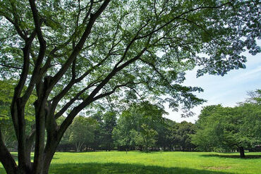 PC事務と現場での設計 積算 監督
内と外、半分ずつの働き方がちょうどいい♪
座りっぱなしの仕事は腰や肩がきつい…そんな方に◎