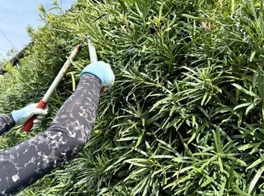 厚木市の公園をキレイに♪
シニア世代も大歓迎！
無理なく長く続けたい方にピッタリです★
※イメージ画像