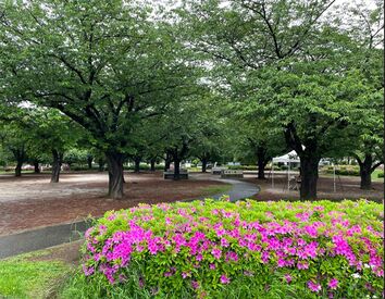 ＼応募するなら今がチャンス！／
募集するのはこの時期だけ♪
これを逃すともったいない！