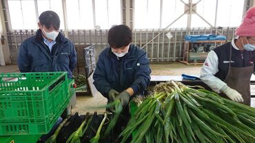 ハイナン農業協同組合（勤務地：勝間田集荷場） ＜4月までの短期スタッフ大募集！＞
高時給で稼げちゃうんです◎
未経験大歓迎で安心スタート♪