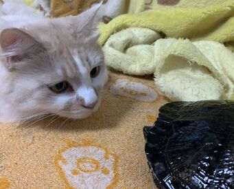 資格お持ちの方必見◇◆週1～OKでWワークにもおすすめ◎