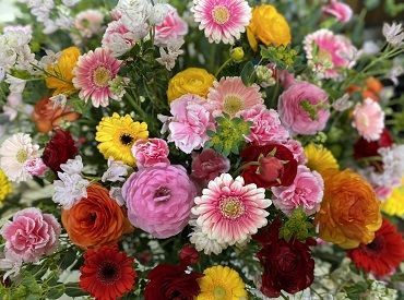 週2日~シフト相談もお気軽に♪
Wワーク・副業、家事・子育てとの両立など、
ご希望の働き方を教えてくださいね◎