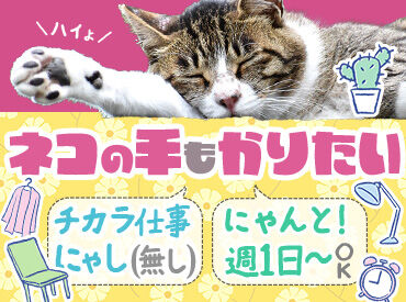 株式会社ジオン ※勤務地：四日市駅エリア ＼女性活躍中！／
小物類の梱包だけなので重たい物ナシ！
週1日～なので予定も組みやすい♪
※画像はイメージです。