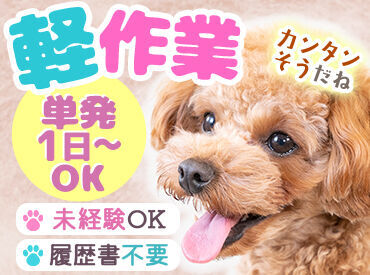 アシストユー株式会社【002】 単発～長期までオールOK★
希望日のみ可！サクッと稼ぎたいなら今すぐご応募ください◎