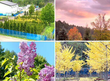 ＼道内ではレア／
樹木の生産管理から、芝生の育成や公園・お庭の工事など、すべてを一貫して行う会社です！
