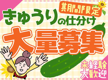 きゅうりん館（夢みなみ農業協同組合） 施設内は、わきあいあいとした雰囲気で、
みんなで助け合っています♪
分からないことは、ベテランのスタッフに聞いてください!!