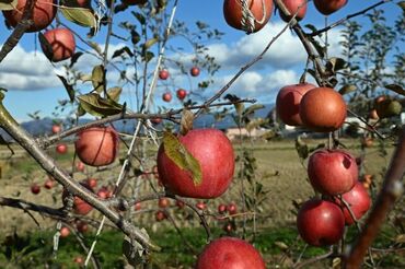 株式会社タンダイパッケージ101 ★急なお休み相談可
小さなお子様がいる主婦(夫)も活躍中!

★カンタン作業
スグに覚えられて、スグに活躍できる!