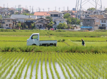 株式会社　白熊 お仕事はとってもシンプルなので、初めてでも安心！
