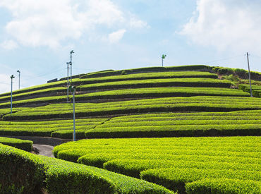 有限会社一成　牧之原工場 ちょっとした節約も◎
⇒昼食の支給あり♪
⇒交通費規定支給あり♪