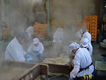 有限会社福田商店 ＜未経験大歓迎！＞
経験は問いません◎シニアスタッフも大歓迎！
年齢・性別問わず皆さん活躍できます♪