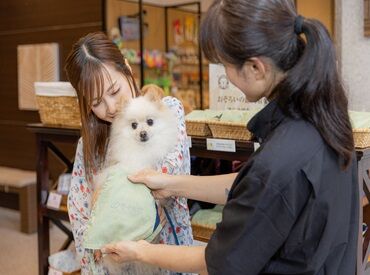 愛犬お宿　伊豆高原 シェフが作るまかないあり（1食150円）！
メニューの要望が叶うことも♪
ちょっと贅沢なまかないが楽しめるかも◎
未経験OK！