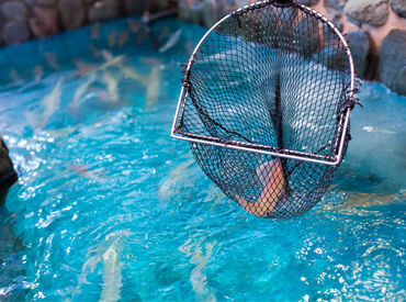 河太郎　呼子店 スタッフ同士仲良しで居心地バツグン♪
未経験の方もみんなでサポートします★