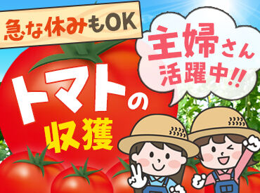 石原農園 未経験で問題ナシ！20代～40代の女性活躍中！
体を動かすのが好きな方にピッタリ◎