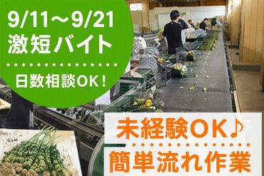 株式会社はなとよ　生花センター ＼9月11日～9月21日までの短期バイト／
流れ作業で、みんなで楽しくオシゴトしましょ★
男女とも活躍中のお仕事です◎
