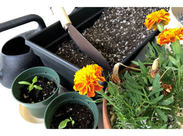 ＼お花に囲まれた、心地よい職場環境／
四季折々の花に囲まれながら作業ができるため、
明るい気分で、楽しく働ける職場です★