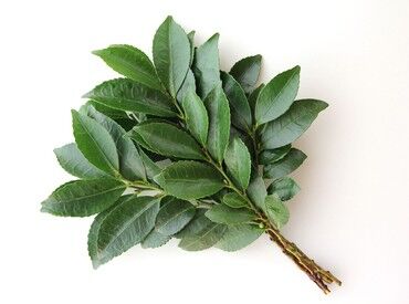 宮緑 体を動かすシンプル作業♪1束2キロ程度で負担少なめ
短時間で終わる日もあり、自分のペースで無理なく働けます◎
※画像イメージ