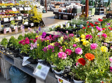 鴻巣市へ出張面談可能!
職場見学もOK!営業が同行します!
気軽にご相談ください★
※画像イメージ