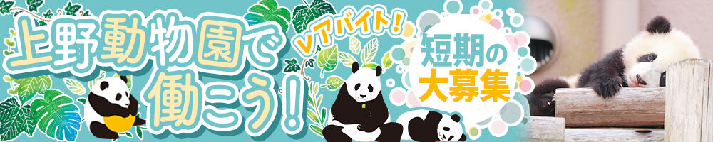 ラージピクチャー