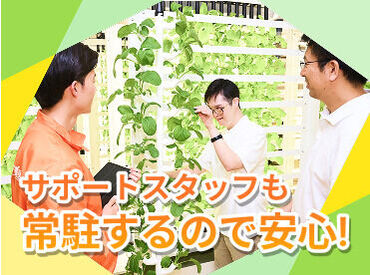 ソーシャルファーム わーくはぴねす農園Plus 大阪第4【求人番号13357】 重い機材などは使わず、安全に栽培できる装置を採用しています◎