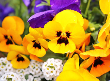 接客なし!!もくもく作業なので
気軽にお仕事を始められる♪
大学生からシニア層まで幅広く歓迎!!
まずは気軽にご応募ください!