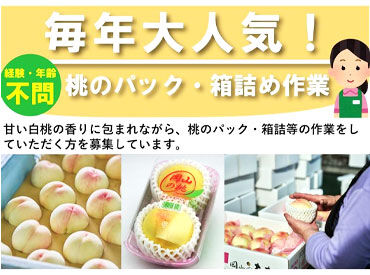 つむぐ株式会社 ★桃などの出荷作業★
箱を組み立てたり、箱詰めしたり♪
シンプル×かんたん作業◎