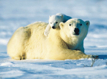 将来は年収700万円以上も可能◎