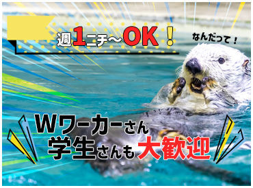 おざわスイミングスクール 週1～OK！
子供が好きな方・プールが好きな方大歓迎！