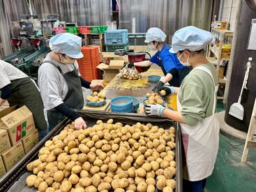扱うのはトマトなどのお馴染みの野菜や果物です◎
シンプル作業なのでご安心ください！