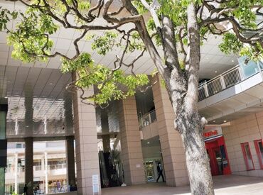 ＼通いやすさも魅力！／
天王洲アイル駅から徒歩約3分と駅チカで、
天候を気にせず通勤できるのが嬉しい♪