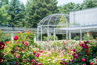 完全週休2日制＆土日祝休み★社会保険完備！
昇給も年1回で安心して長く働けます♪

