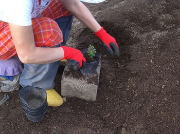 写真は植え付け作業中
お仕事内容は様々なので飽きが来なくて楽しいですよ!