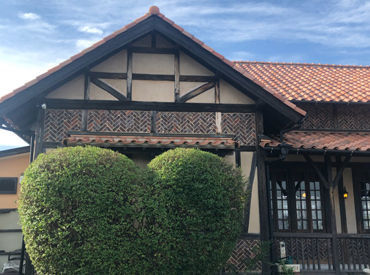 カフェ　サルーテ "おいしい"と"健康"を両立＊
数十種類のスパイスと
地元農家さんの野菜をふんだんに使った
[薬膳カレー]が話題のお店です♪。*