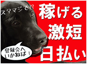 ＼土日も登録会開催中！／
簡単ステップでスグ働けます♪
今すぐ稼ぎたい方にオススメ☆