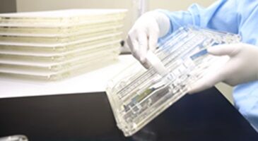 株式会社ミライアルリンク ＼まずは工場見学だけもOK！／
丁寧な研修あるので
久しぶり職場復帰の方や
定年退職後の方などいろいろな世代の方が働けます◎