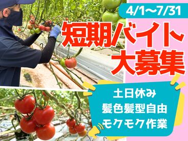 ＼未経験者活躍中／
初めから経験がある方はほとんどいません！