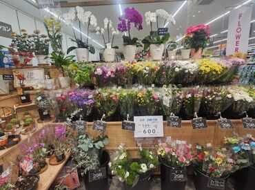 株式会社花庄 未経験からスタートも大歓迎◎
家計の足しや生活費としてサクッと働けます♪