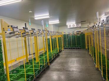 扶養控除内でもOK
ガッツリ稼ぎたい、家計と調整したい
など…働き方に合わせて稼ぐことができます