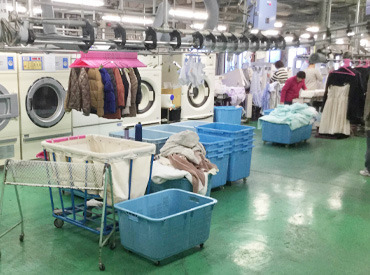 洗浄機のボタンを押すだけ★
モクモク作業が好きな方にピッタリのお仕事です♪