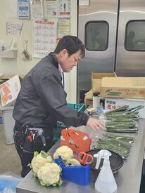 ＼シンプルな作業ばかり！／
玉ねぎを袋につめたり、
じゃがいもを計って入れたり…
どれも簡単なのですぐに慣れますよ♪