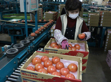 JA福岡くるめ　園芸流通センター 定年退職後に体を動かしたい♪
そんなスタッフさんも多数活躍中！
いろんな作業があり体に無理なく働ける★