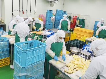 お野菜や果物は仕入れ値でかえます★
青果場は入荷したての野菜が多いので、
新鮮な野菜をお得にGET
働きながら家計の助けに♪