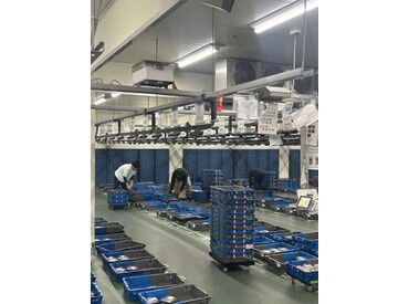 実際の庫内作業の写真です！
シンプル×簡単モクモク作業で未経験の方でも安心です♪
