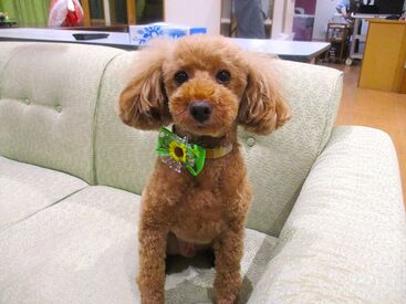 ≪介護経験者さんwelcome≫
★1日見学OK ★研修あり