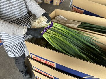 ＼まずはやってみましょう★／
完全未経験の方も大歓迎！
慣れてしまえばどの作業も簡単です♪
しっかりサポートします◎
