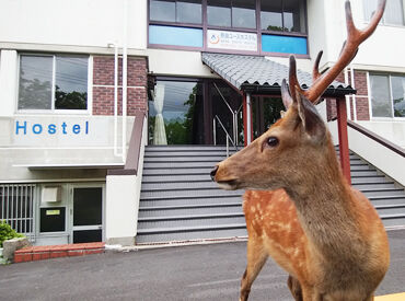 未経験＆ブランクありでも大丈夫◎
とってもシンプル業務だから、ご安心ください♪